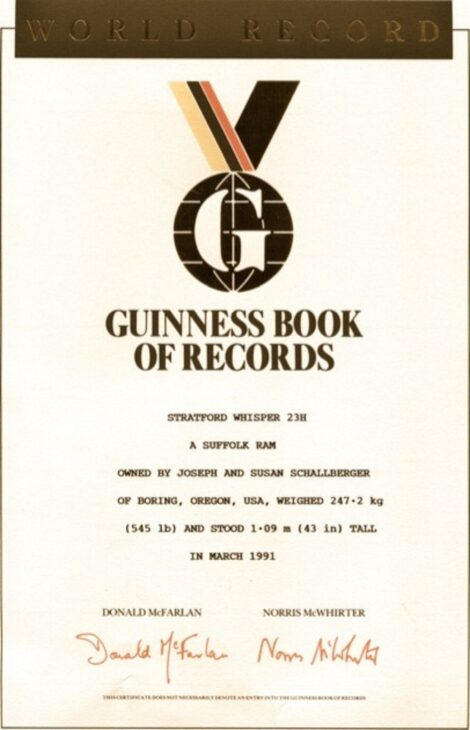 Carnero, mayor carnero, Guinness