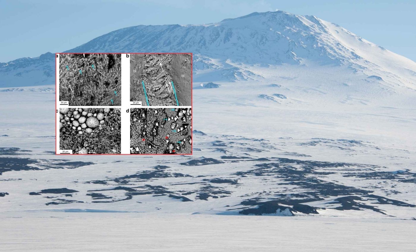 Ovo gigante de 68 milhões de anos encontrado na Antártida mostra que répteis marinhos botavam ovos de casca mole no mar e mudam teorias reprodutivas