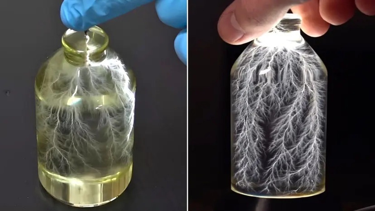 YouTuber cria figuras de Lichtenberg 3D em cilindros de acrílico usando acelerador de partículas e rotação de 150 RPM.