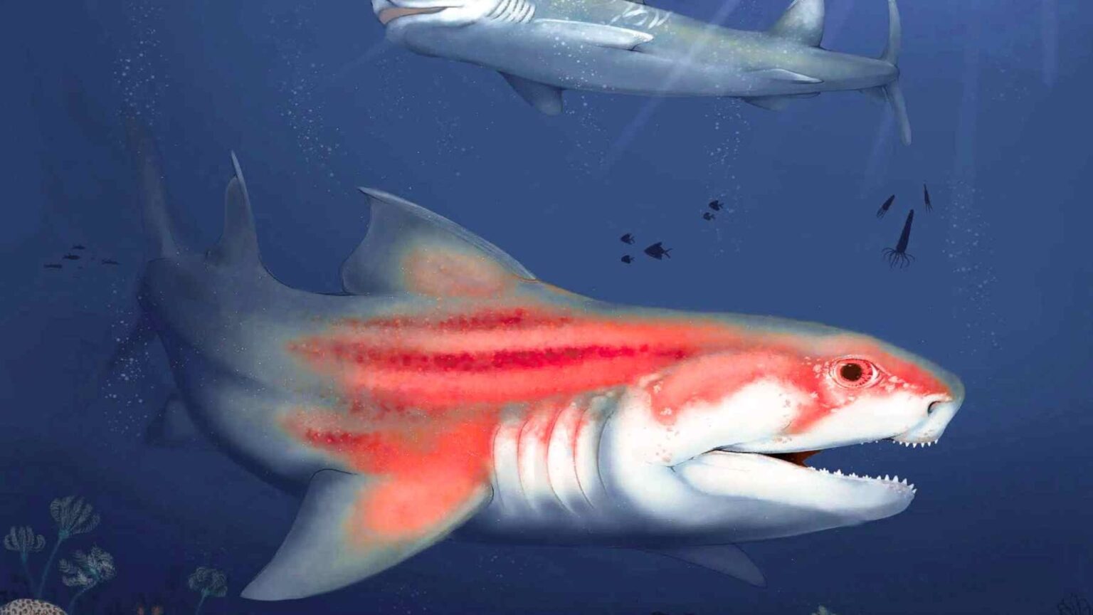 Fósseis de tubarões de 325 milhões de anos e 4 metros são identificados no Kentucky, preservados intactos em caverna.