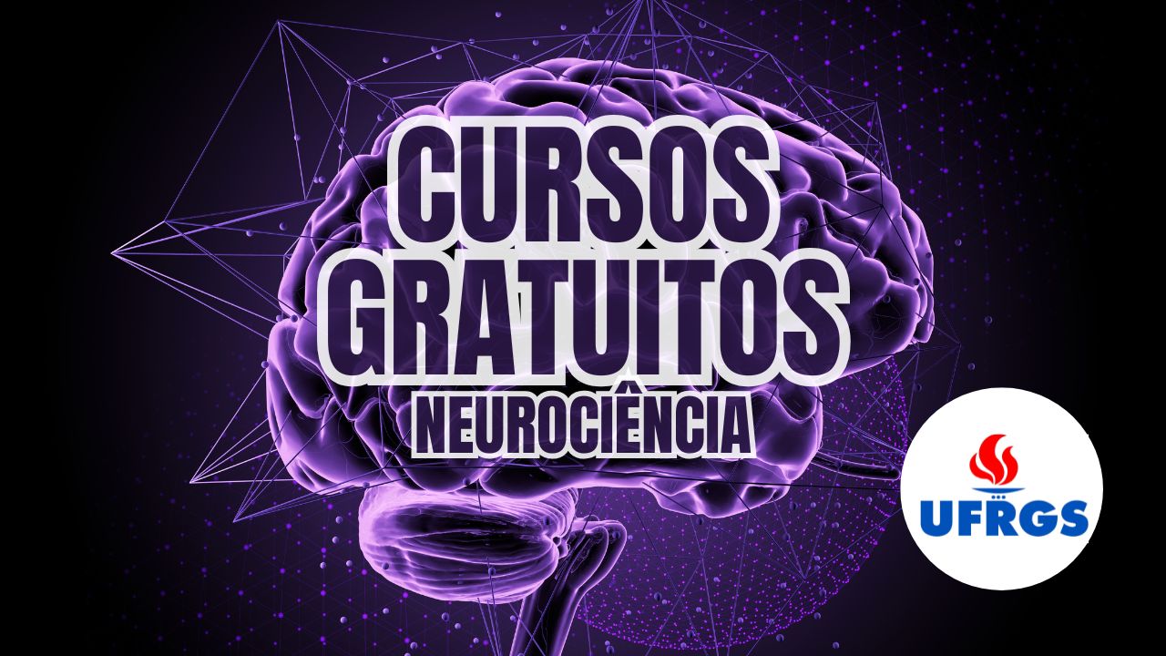 A UFRGS oferece cursos gratuitos sobre Neurociência totalmente online. Veja como funcionam as formações, conteúdos e como se inscrever.