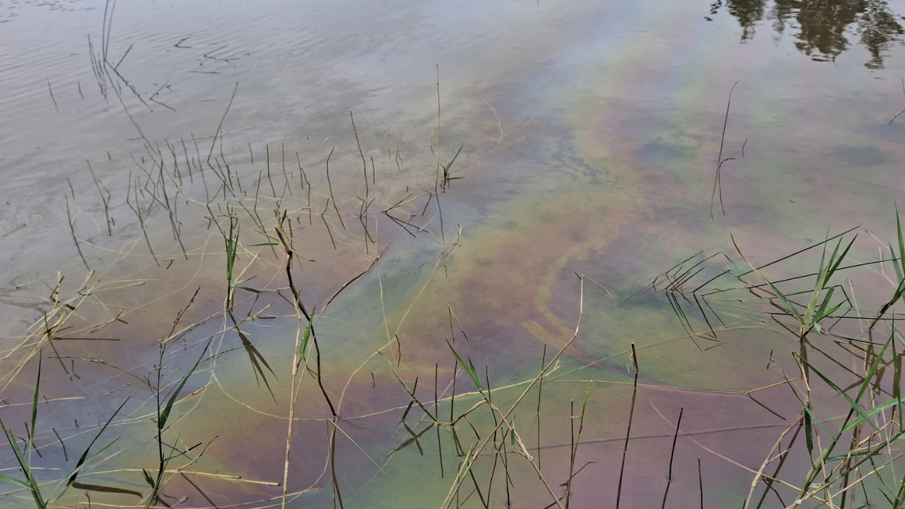 Vazamento de petróleo diesel em Dung Quat atinge rios e áreas agrícolas em Quang Ngai, gera poluição ambiental e compromete a produção local.