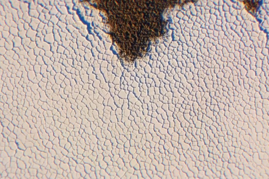 Ve 10 Fisuras En La Tierra Visibles Desde El Espacio: Cicatrices Colosales, Fallas Tectónicas Y Sistema De Rift Que Explican Un Planeta En Constante Movimiento.