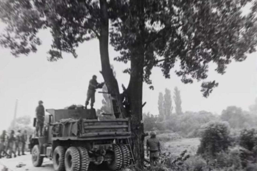 Entiende cómo un árbol en la DMZ se convirtió en el caso de la Operación Paul Bunyan y casi llevó a EE. UU. y Corea del Norte al límite en plena Guerra Fría.