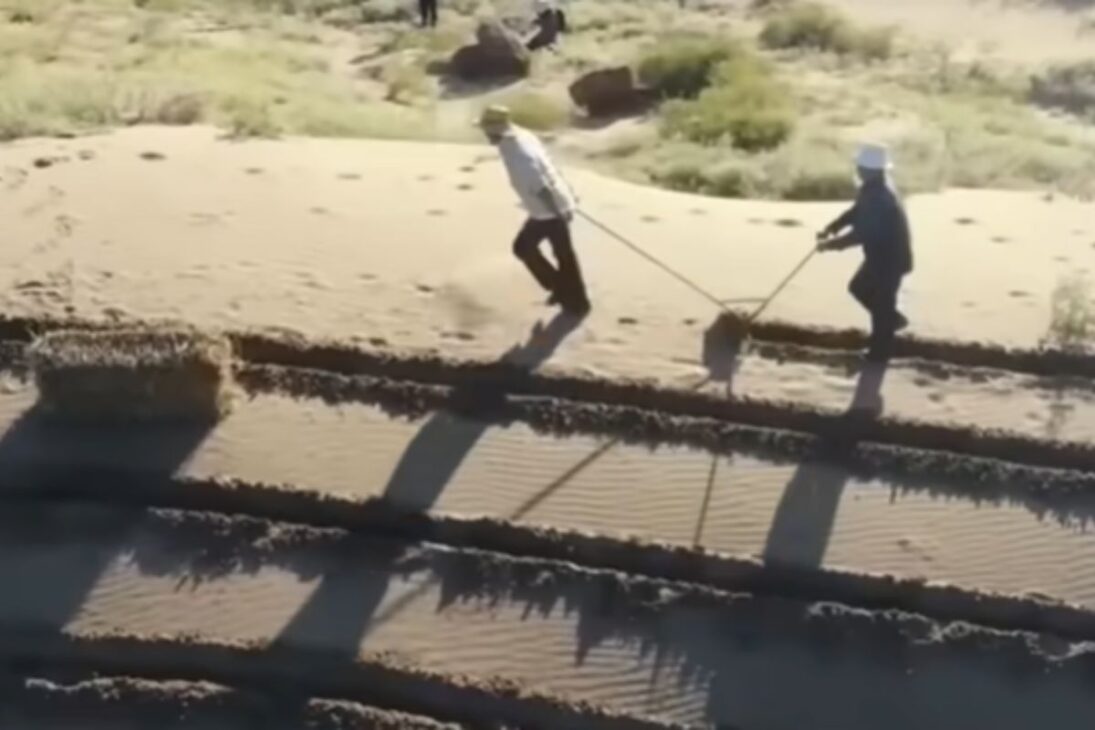 Desiertos en Avance: China Usa Paja, Biocrostas y Reforestación Para Frenar Tormentas de Arena y Estabilizar Dunas.