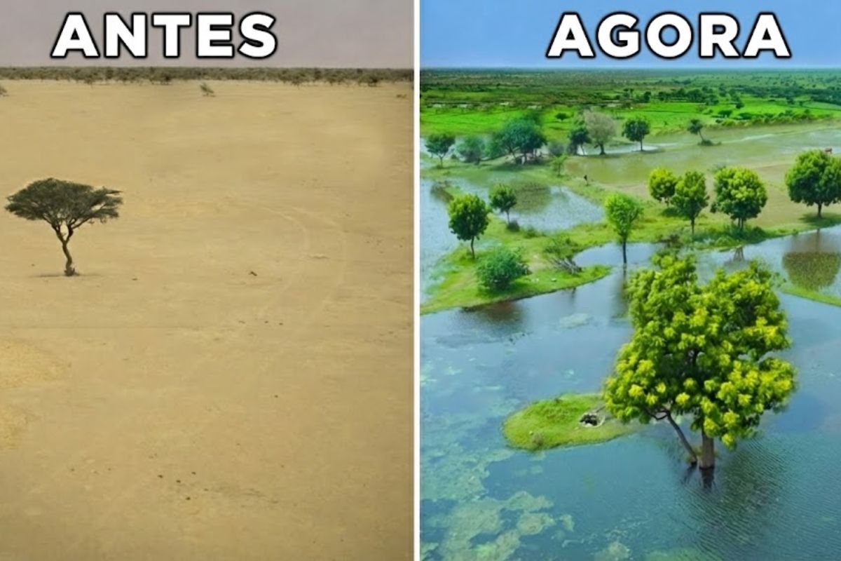 Entenda como a coleta de água no Deserto de Thar avança com a GRAVIS no Rajastão, usando água da chuva em lagos, campos de captação e tanques domésticos para sustentar lavouras em regiões áridas.