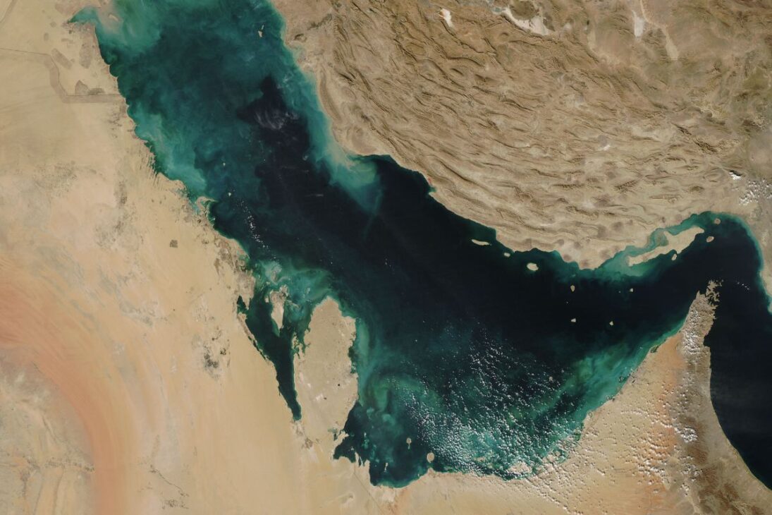 Arrecifes artificiales gigantes transforman el Golfo de Abu Dhabi al acelerar la recuperación de corales con miles de módulos submarinos, devolviendo peces, especies raras y funciones ecológicas tras colapsos térmicos extremos.