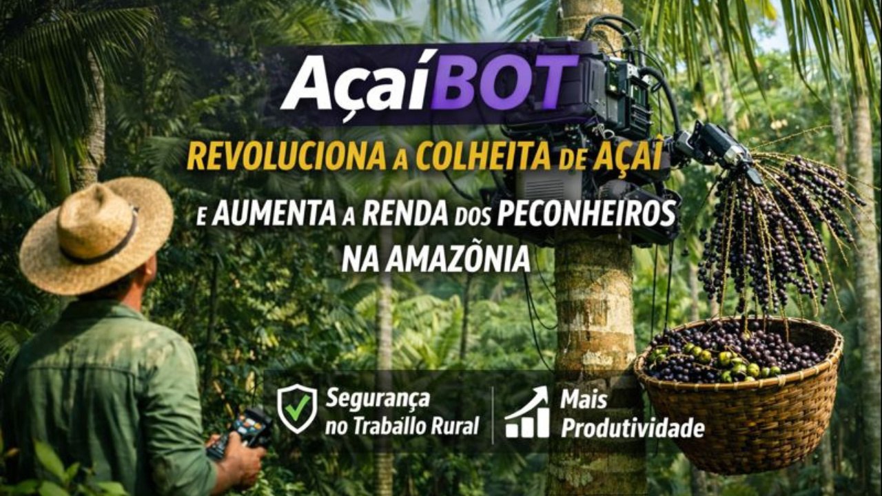 Com robótica agrícola, o Açaíbot moderniza a colheita de açaí, reduz acidentes e fortalece a segurança no trabalho rural.