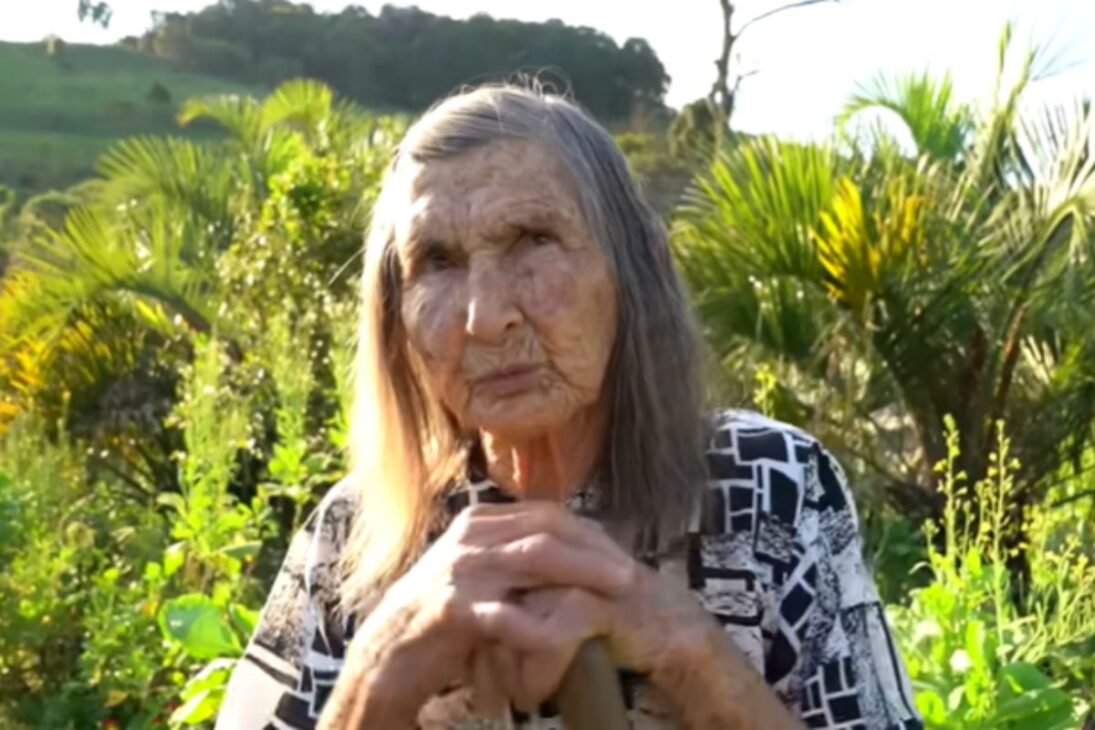 Vida Simple En La Granja En Las Sierras De Santa Catarina Cuenta La Rutina En El Campo De Un Agricultor De 70 Años E Inspira A Quien Busca Vida Simple.