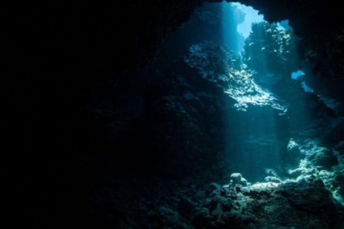 apagón en los océanos relacionado con el oscurecimiento de los océanos reduce zona fótica, apunta Universidad de Plymouth con datos de la NASA, y presiona vida marina, oxígeno y peces en escala global.