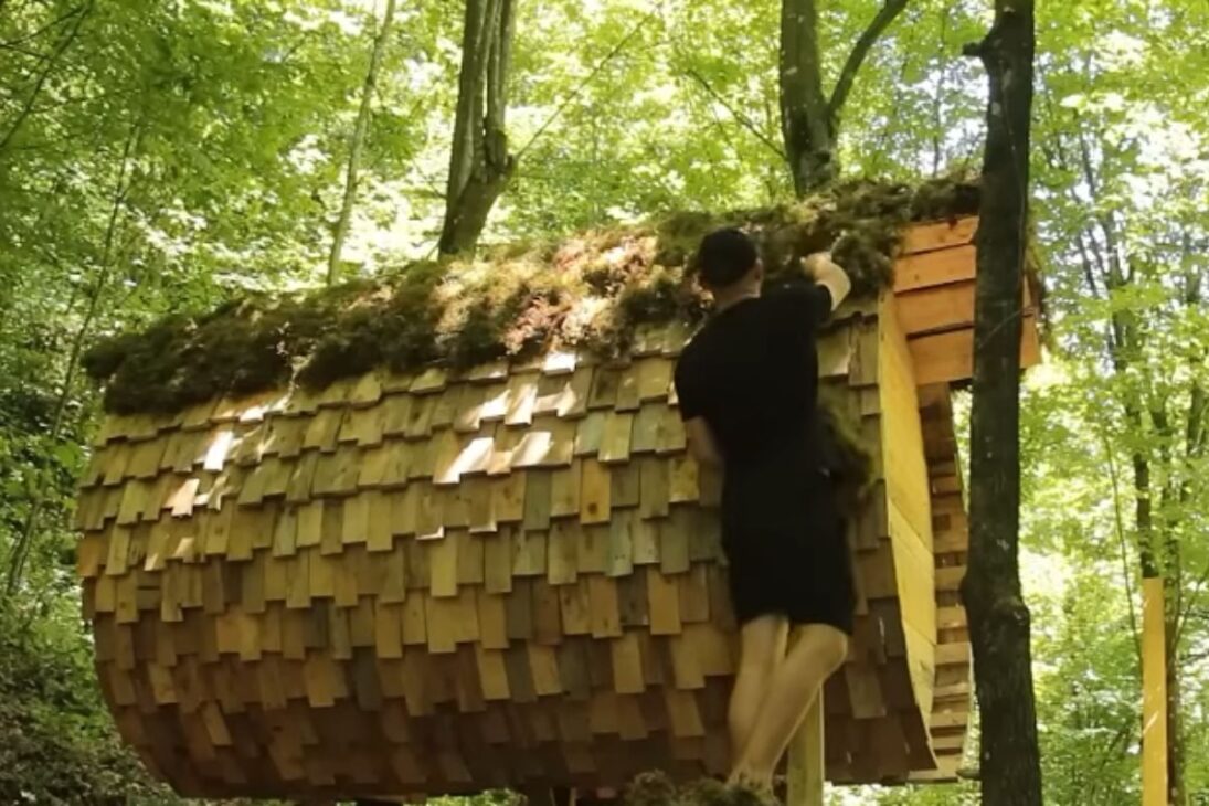 Toca hobbit en esfera de madera hecha con palets de madera, techo de musgo y casa en árbol que se integra al bosque.