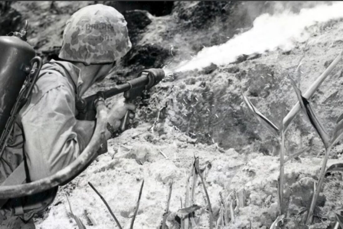 Millones De Huevos De Mariposa En Control Biológico Con Cactoblastis Cactorum Contra El Cacto Invasor De Higo De India Salvaron Tierras Agrícolas En Australia.