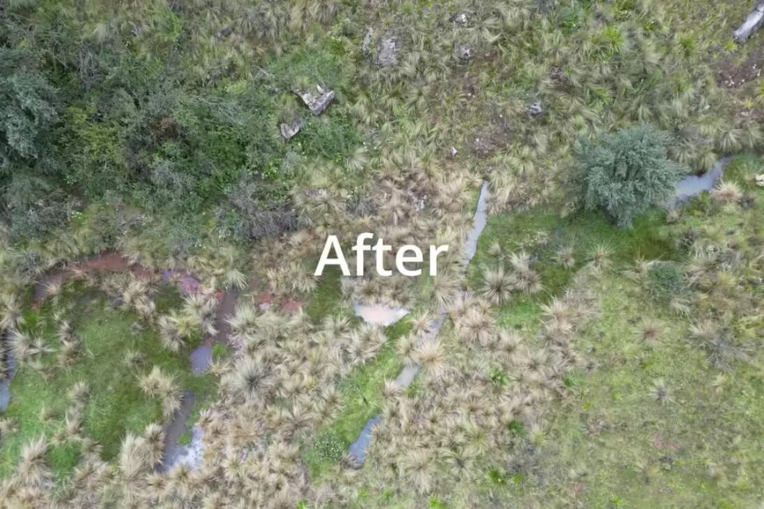 La ingeniería inca milenaria revive pantanos, crea reservorios, restaura cuencas hidrográficas y devuelve agua a los Andes, mostrando cómo el conocimiento ancestral transforma regiones pobres de Bolivia.