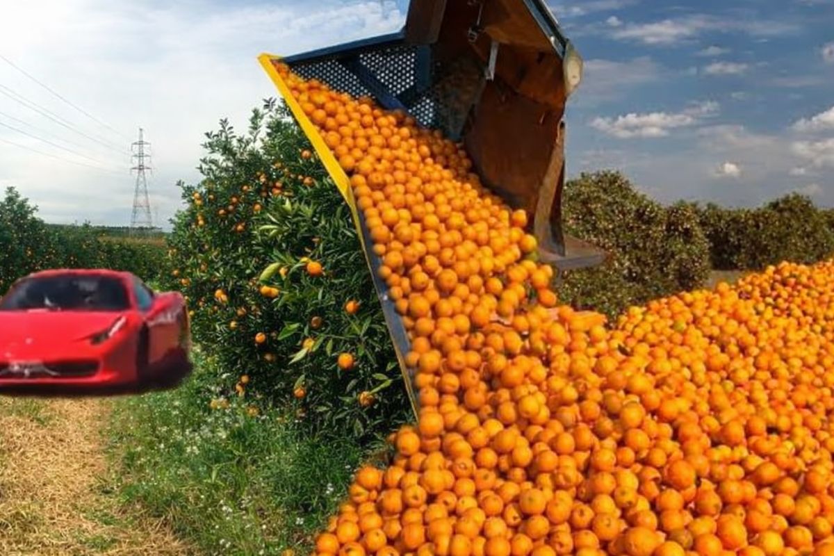 Brasileiro que começou do zero virou o maior mundo na laranja a cada 3 copos de suco, 1 sai da Cutrale, exportada para 90 países e gera 15 mil empregos (2)