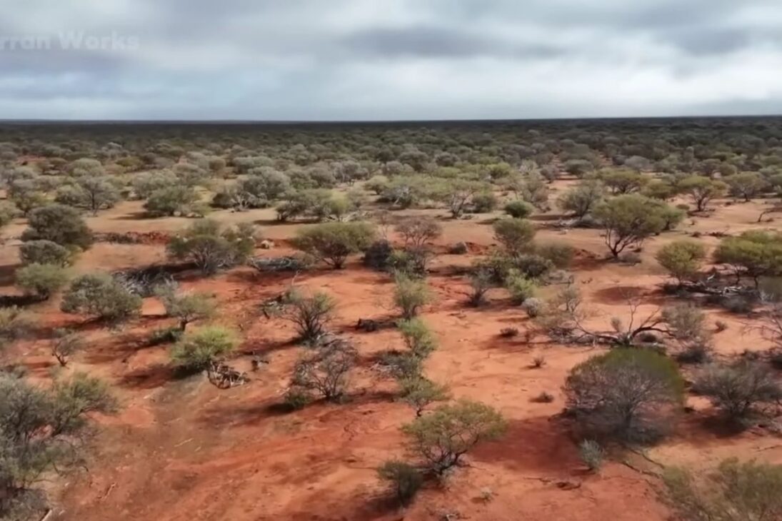 terras degradadas na Austrália são tratadas com lã, reduzindo evaporação, reativando microrganismos e elevando colheitas, com indicadores de água, umidade e produtividade que transformam resíduo orgânico em estratégia agrícola.