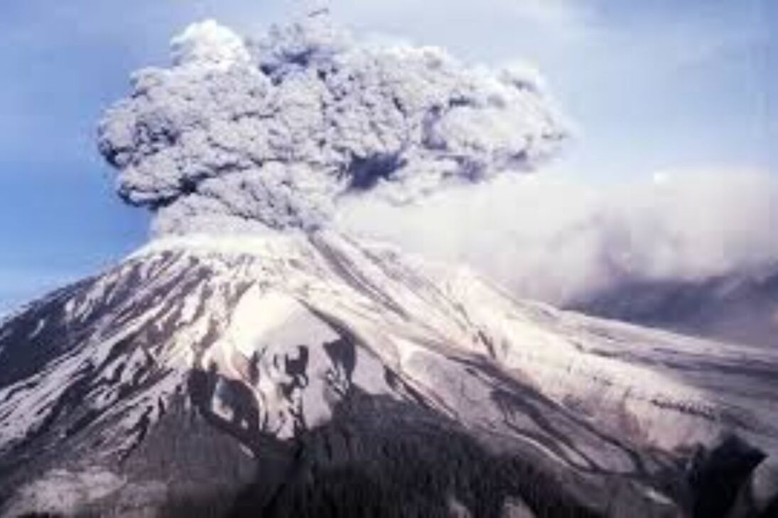 Topos En Un Volcán Devastado En El Monte Santa Helena Muestran Cómo Ingenieros Ecológicos Y La Ingeniería Natural Aceleran La Recuperación De Ecosistemas.