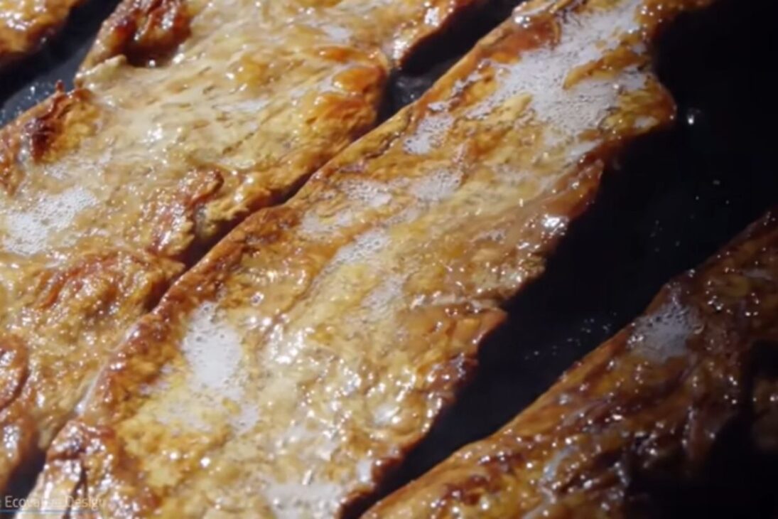 Veja como cogumelo e micélio viram couro de cogumelo, bacon de cogumelo e casas de micélio em uma revolução de biotecnologia sustentável.