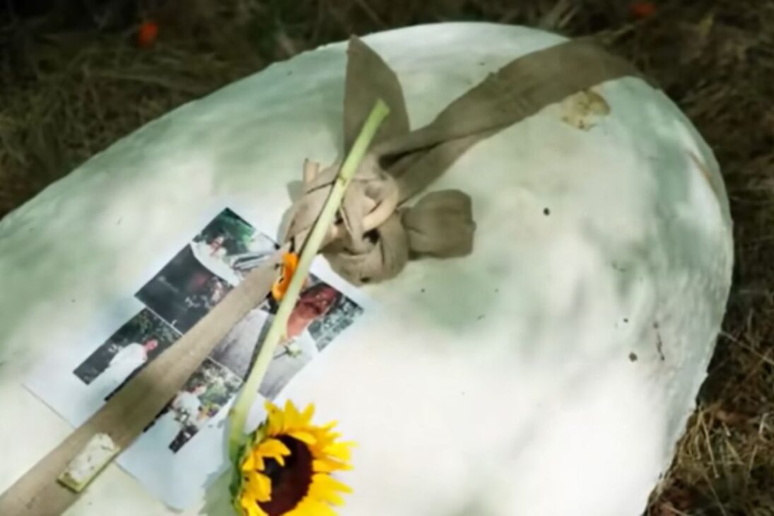 Veja como cogumelo e micélio viram couro de cogumelo, bacon de cogumelo e casas de micélio em uma revolução de biotecnologia sustentável.