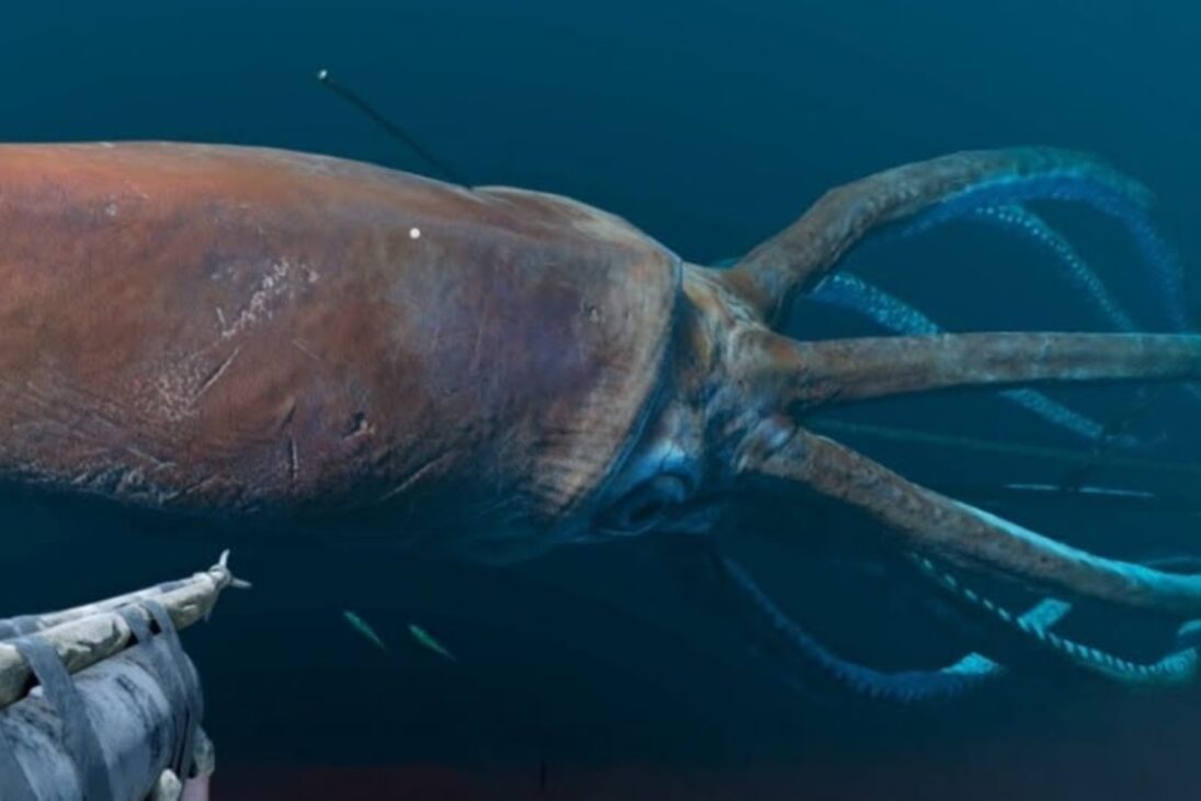 Fondo del mar, gigantes que parecen imposibles, gigantismo de las profundidades y gigantismo marino bajo amenaza del calentamiento de los océanos.