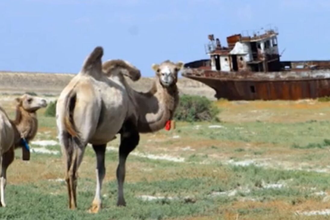 Mar de Aral, lago salado en Asia Central, se convirtió en desastre ambiental tras la sequía del Mar de Aral en pocas décadas.