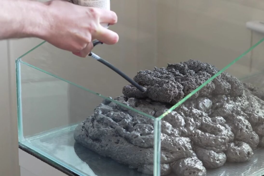 Cascada funcional en acuario muestra camarones y bagres escalando; la microfauna y las plantas cierran ciclos, mientras que el acuario recirculado evidencia límites de sellado, flujo y dureza del agua.

