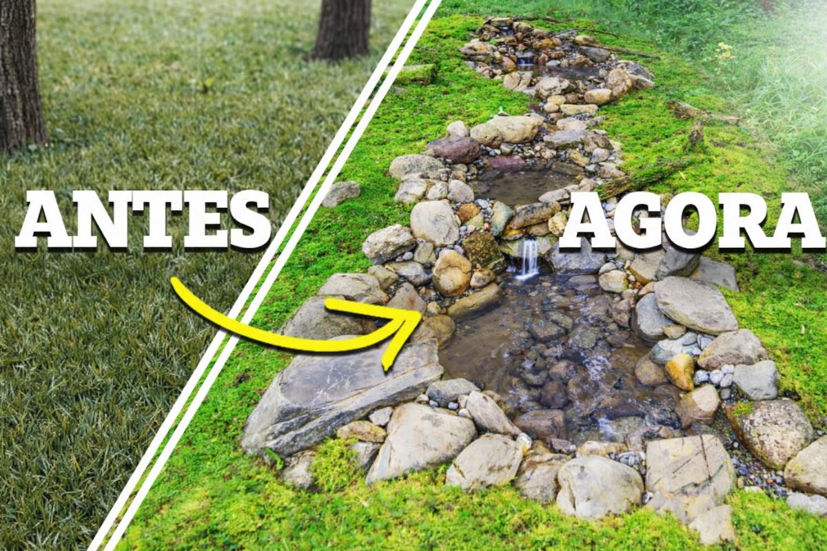 lago com cascatas na borda da floresta vira banho de pássaros; com bomba de água, câmera de segurança registra rãs e aves.
