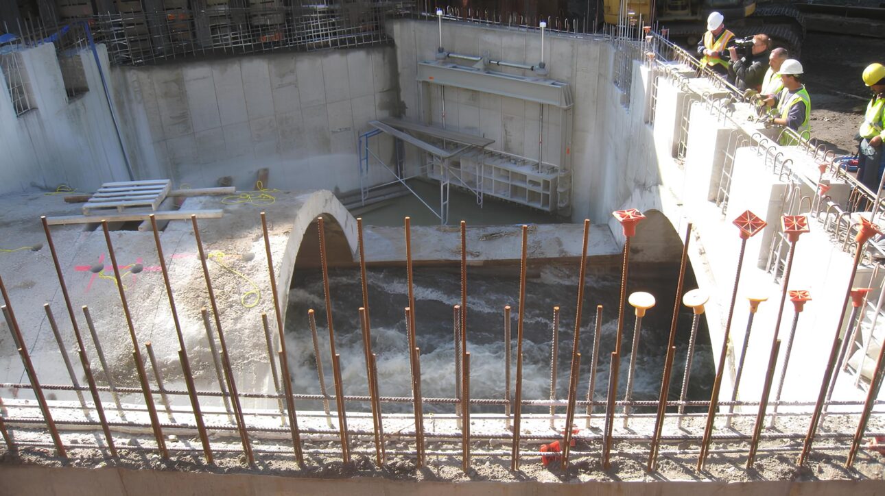 En Estados Unidos, un río que estuvo casi 100 años enterrado bajo un estacionamiento y tuberías de concreto fue desenterrado, volvió a fluir a cielo abierto y sorprendió a expertos al traer anguilas migratorias de vuelta al corazón de la ciudad y reducir el riesgo de inundaciones urbanas