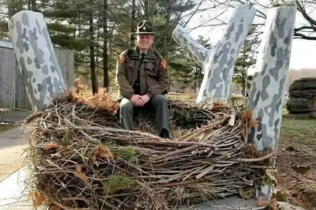 Descubre como pájaros arquitetos y la arquitectura de los pájaros crean nidos de pájaros, nidos gigantes y nidos flotantes impresionantes.