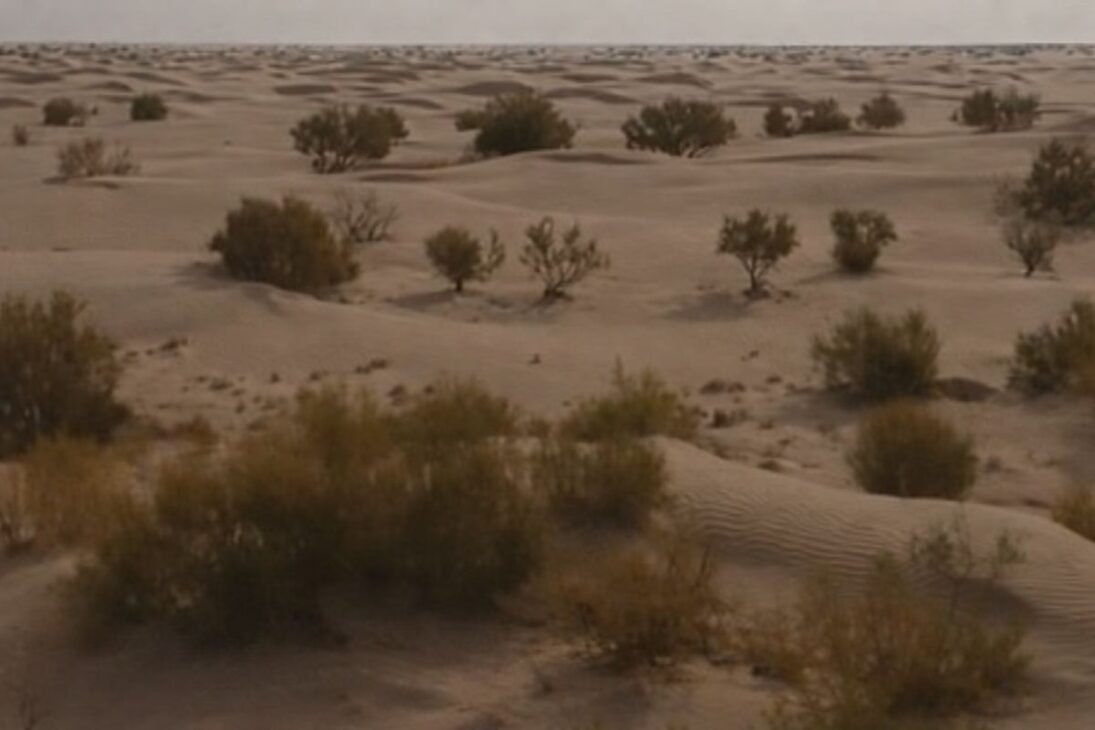 Desertificación en China expone límites de la muralla verde de China; la desertificación exige especies nativas y megaproyectos de agua para frenar los desiertos.