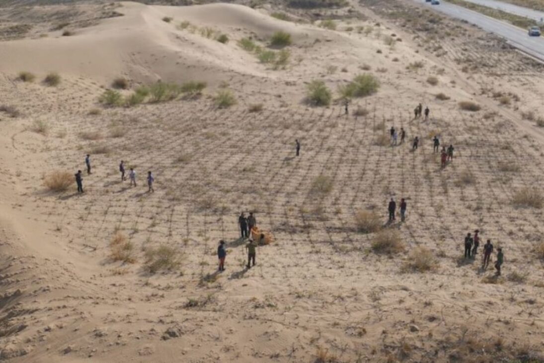 Desertificación en China expone límites de la muralla verde de China; la desertificación exige especies nativas y megaproyectos de agua para frenar los desiertos.