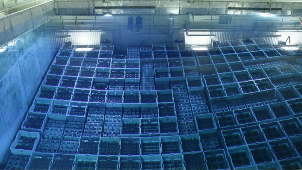 Estados Unidos vão recuperar o único estoque mundial de plutônio raro escondido em resíduos nucleares da Guerra Fria