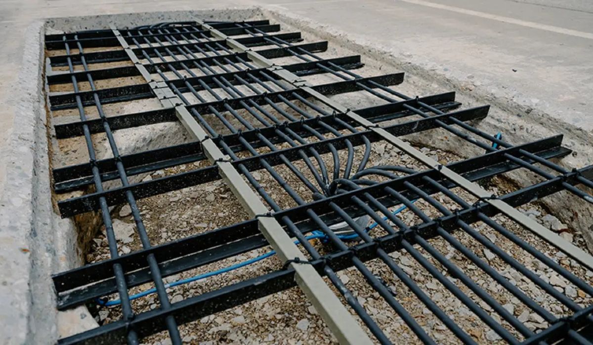 (Imagen: Reproducción/Fotografía de Purdue University/Kelsey Lefever)