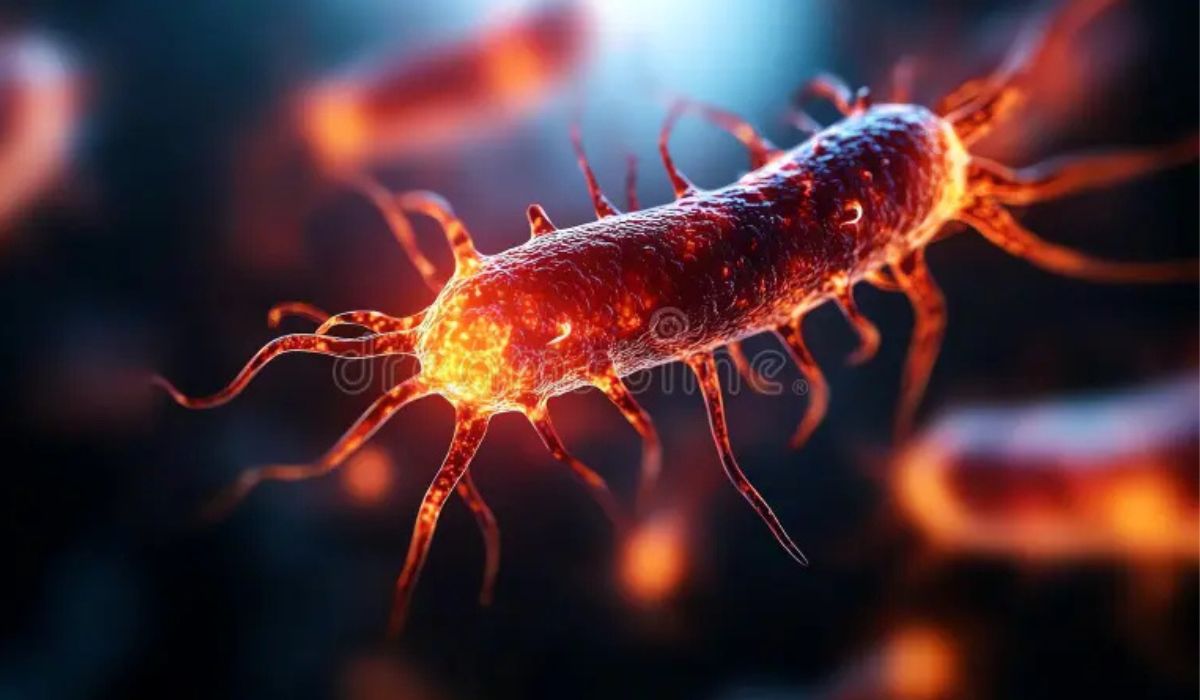 Cientistas na Índia identificam proteína bacteriana que gera eletricidade com luz UV, sem química, com potencial em sensores médicos. (Imagem: I.A)