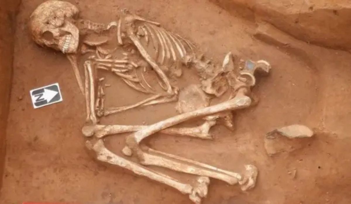 Estudo identifica genomas do HHV-6 em esqueletos europeus da Idade do Ferro e mostra que o vírus circula entre humanos há mais de 2.500 anos. (Imagem: BBC/Swat Archaeology