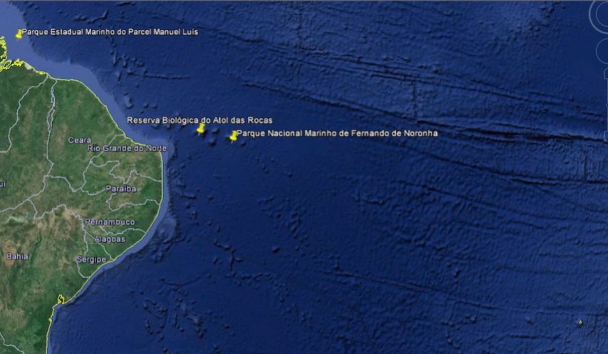 (Imagen: Reproducción/ibrasurf)