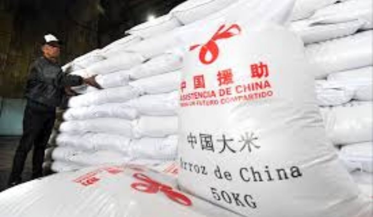 (Imagen: Reproducción)