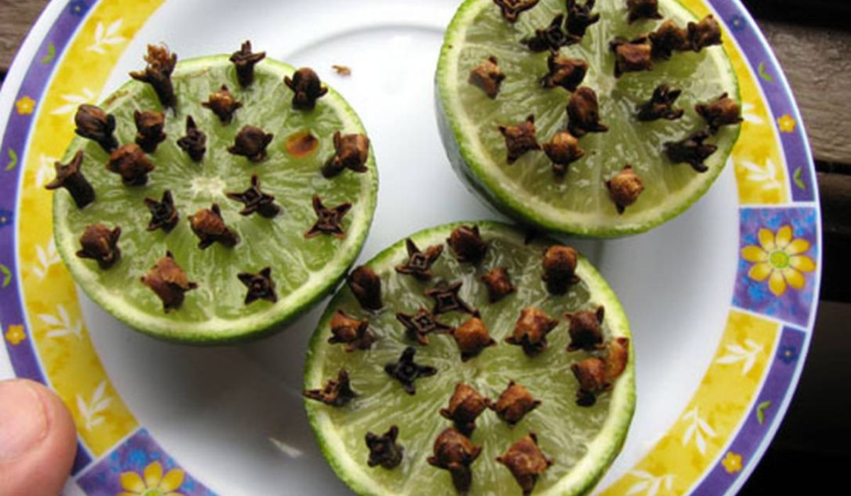 (Imagen: Reproducción)