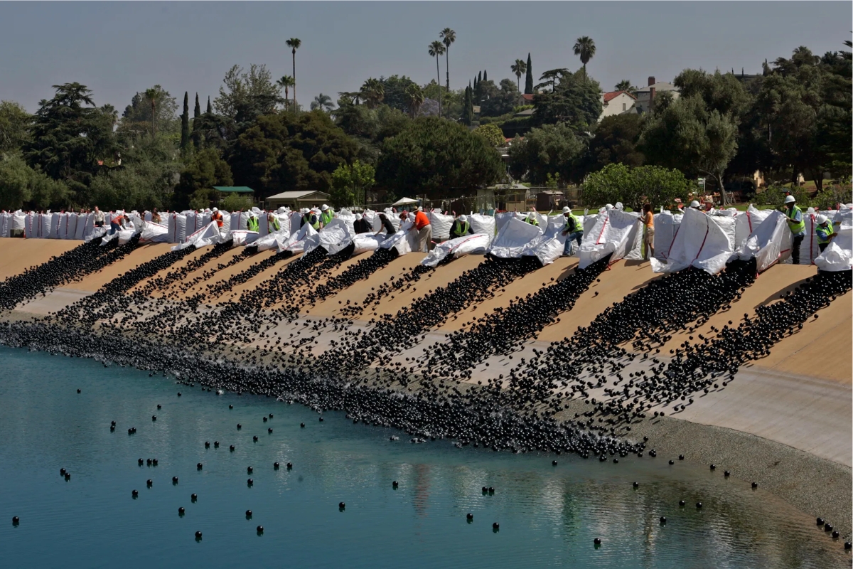 Los Angeles cobriu reservatórios de água com 96 milhões de bolas pretas para tentar solucionar um problema que podia paralisar toda a cidade, e o resultado surpreendeu cientistas e especialistas