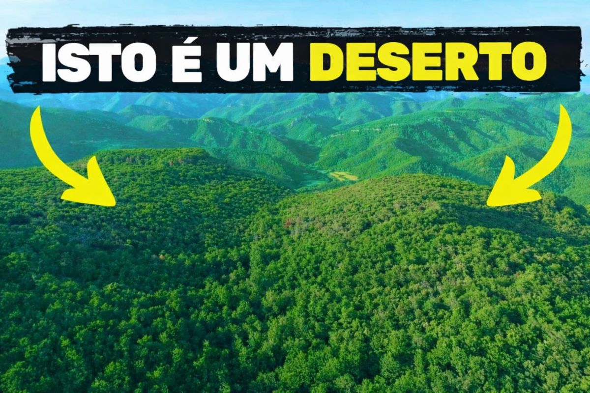 deserto verde no Vale de Muga: carvalhos sob corte seletivo devolvem água ao Rio Muga e reduzem perda hídrica.