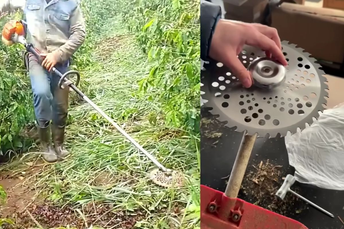 Capinar com roçadeira entra no teste real: disco de vídeo falha no mato duro com pedra, e a enxada segue firme enquanto o produtor planeja novo disco.