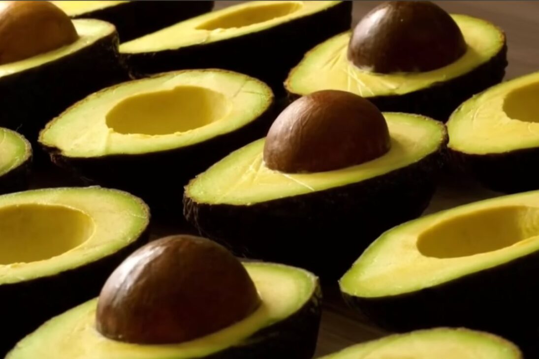 Conoce la mayor granja de aguacate y la exportadora de aguacate que impulsa la producción de aguacate, el aguacate y el aguacate en Brasil.