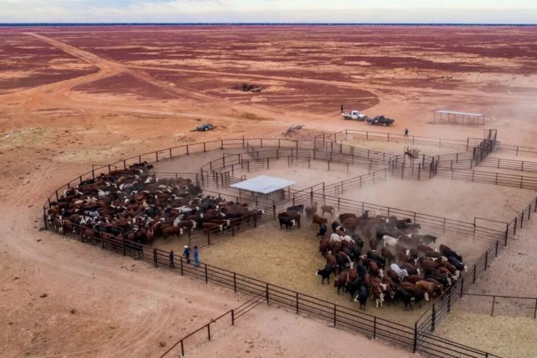 De La Mayor Granja Del Mundo A La Agricultura En El Desierto, La Alga Gigante Y El Elevador De Barcos Muestran Cómo La Ingeniería Alimenta Al Mundo.