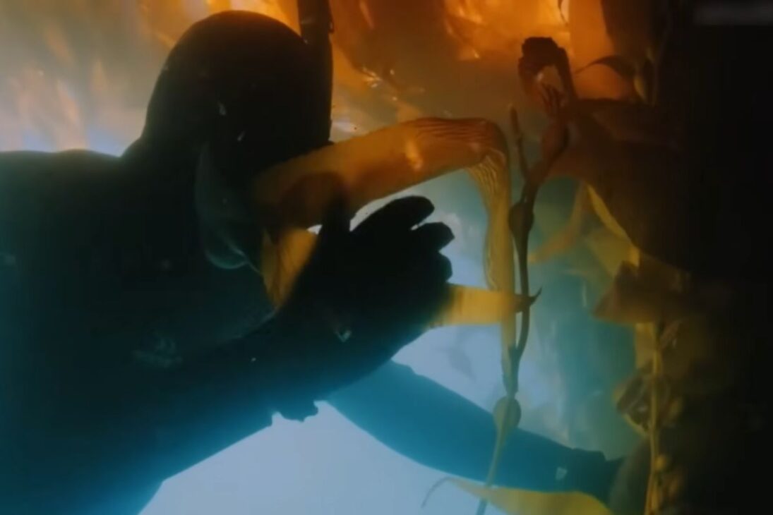 De La Mayor Granja Del Mundo A La Agricultura En El Desierto, La Alga Gigante Y El Elevador De Barcos Muestran Cómo La Ingeniería Alimenta Al Mundo.