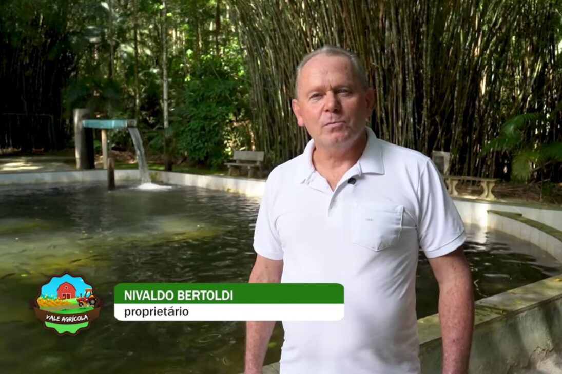 Descubra cómo la trucha se convirtió en motor de turismo en Gaspar, con agua fría y limpia sustentando la creación continua, integrada al restaurante, donde los hermanos controlan del alevino al plato y mantienen la operación estable durante todo el año.