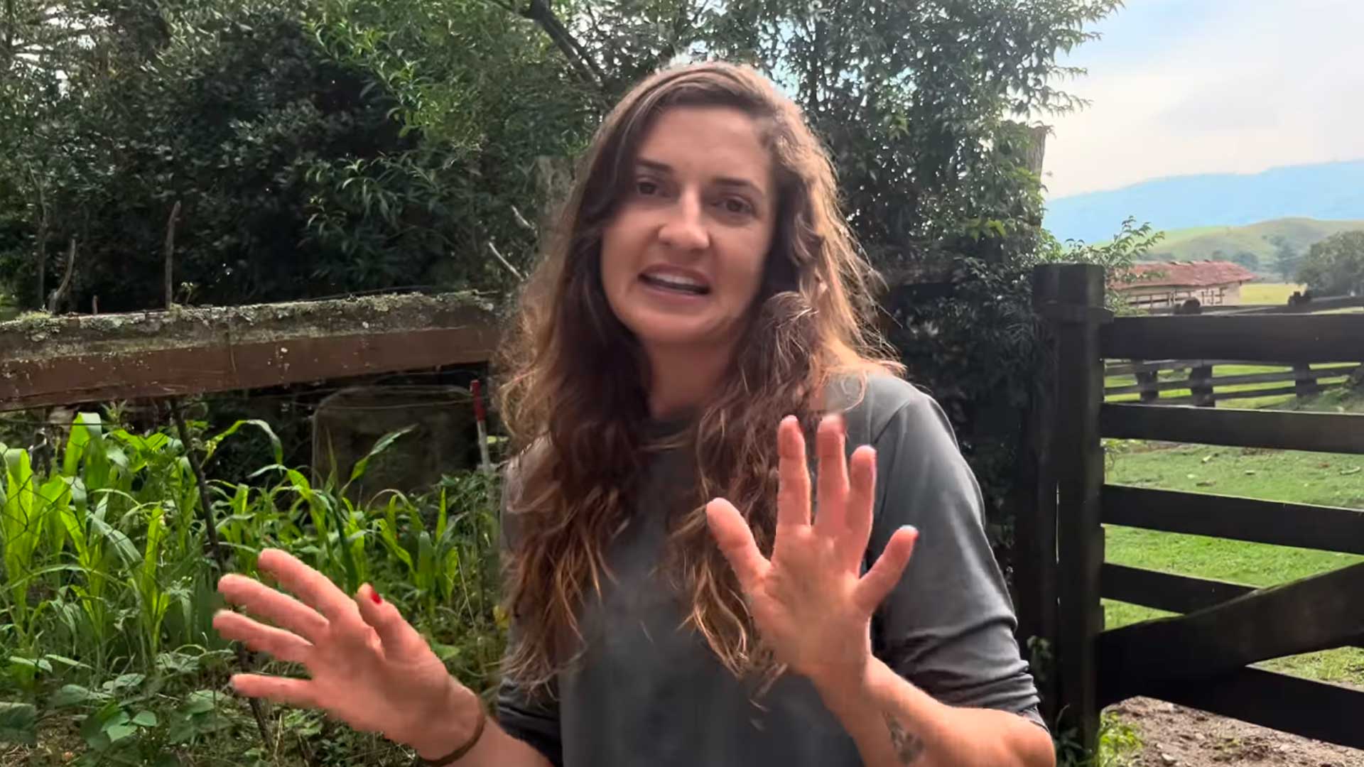 Ela largou a cidade e a rotina de apartamento, voltou sozinha para a roça, planta sem veneno, cria abelhas e vive do raro melato de bracatinga que só dá a cada dois anos