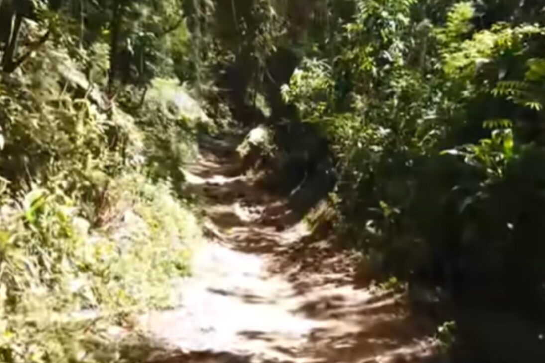 En El Parque Estatal de Pedra Branca, se aisló en la mayor floresta urbana de Brasil, vida en el bosque sin celular y sin energía eléctrica cerca de la ciudad.