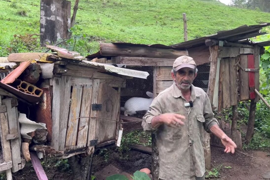 Hombre que vive solo en el sitio en Marmelópolis eligió el campo, cría animales, rechaza la ciudad y mantiene rutina simple a los 62 años, con trabajo diario, fe y una felicidad que sorprende a los visitantes.