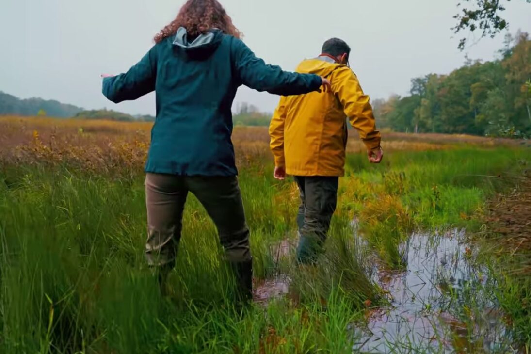 Pantanos ancestrales en Bélgica restauran turberas y zonas húmedas, frenan CO2, superan bosques en carbono y desafían la agricultura moderna europea.