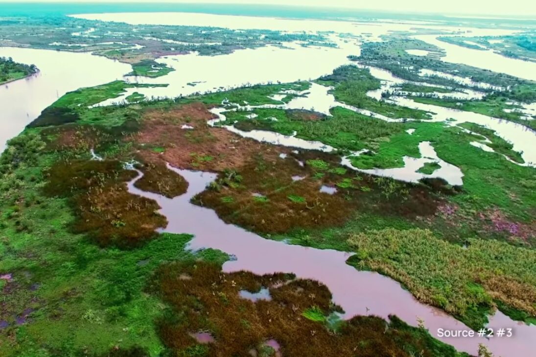 Pantanos ancestrales en Bélgica restauran turberas y zonas húmedas, frenan CO2, superan bosques en carbono y desafían la agricultura moderna europea.