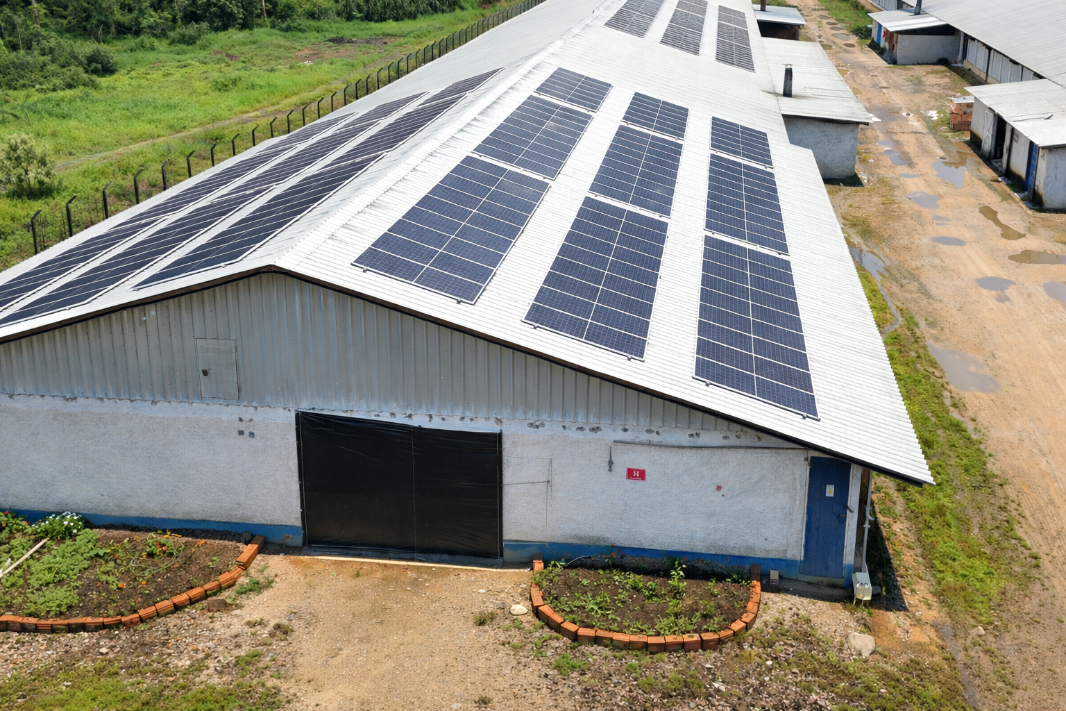 Telhado de galpão rural com painéis solares instalados, cercado por área verde e estrada de terra ao lado, em iluminação de meio-dia.